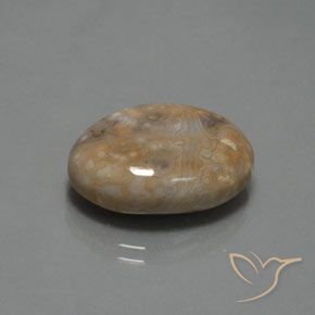 Jaspe Multicolorido Natural 15.30ct, oval, Opaco