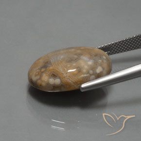 Jaspe Multicolorido Natural 15.30ct, oval, Opaco