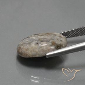 Jaspe Multicolorido Natural 14.48ct, oval, Opaco