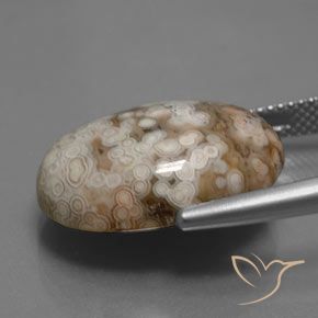 Jaspe Multicolorido Natural 14.70ct, oval, Opaco