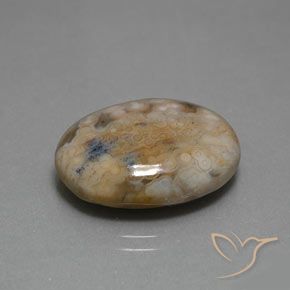Jaspe Multicolorido Natural 13.80ct, oval, Opaco
