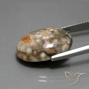 Jaspe Multicolorido Natural 14.34ct, oval, Opaco