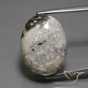 Jaspe Oval de 18,17 quilates, 20 x 15,2 mm Da Indonésia, Photo A
