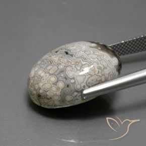 Jaspe Multicolorido Natural 18.17ct, oval, Opaco
