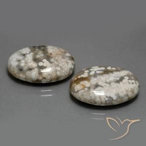 Pedras preciosas de Jaspe Multicolorido natural de 22.46 ct, oval, Opaco