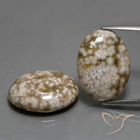 25.62ctw Natural Multicolorido Jaspe, oval, Opaco