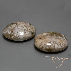Pedras preciosas de Jaspe Multicolorido natural de 25.60 ct, oval, Opaco