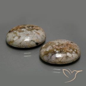 Pedras preciosas de Jaspe Multicolorido natural de 26.33 ct, oval, Opaco