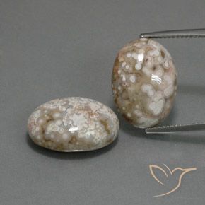 21.62ctw Natural Multicolorido Jaspe, oval, Opaco