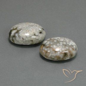 Pedras preciosas de Jaspe Multicolorido natural de 23.48 ct, oval, Opaco