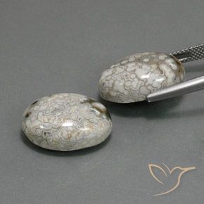 Pedras preciosas de Jaspe Multicolorido natural de 23.48 ct, oval, Opaco