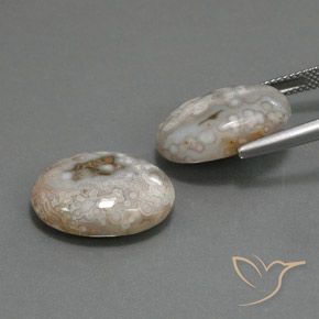 Pedras preciosas de Jaspe Multicolorido natural de 18.63 ct, oval, Opaco