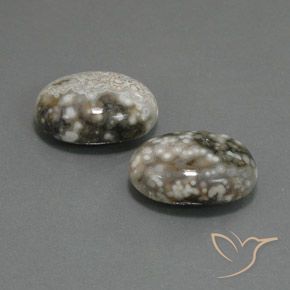 Pedras preciosas de Jaspe Multicolorido natural de 22.45 ct, oval, Opaco