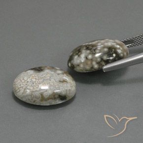 Pedras preciosas de Jaspe Multicolorido natural de 22.45 ct, oval, Opaco