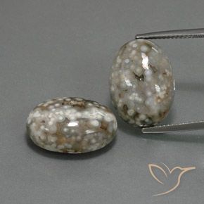 25.02ctw Natural Multicolorido Jaspe, oval, Opaco