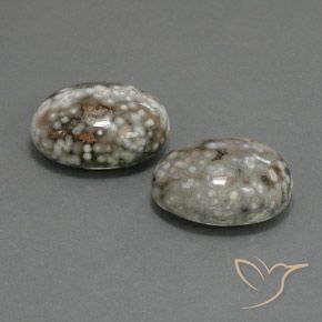 Pedras preciosas de Jaspe Multicolorido natural de 25.02 ct, oval, Opaco