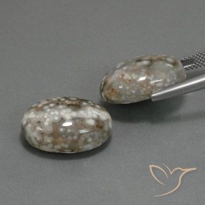 Pedras preciosas de Jaspe Multicolorido natural de 25.02 ct, oval, Opaco