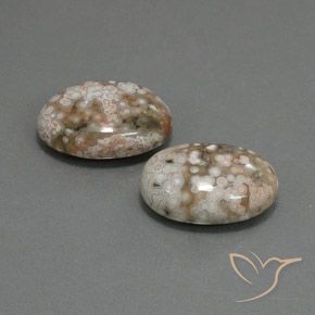 Pedras preciosas de Jaspe Multicolorido natural de 19.64 ct, oval, Opaco