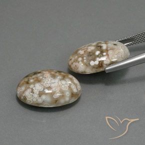 Pedras preciosas de Jaspe Multicolorido natural de 19.64 ct, oval, Opaco