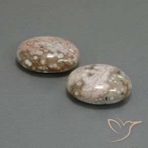 Pedras preciosas de Jaspe Multicolorido natural de 21.58 ct, oval, Opaco