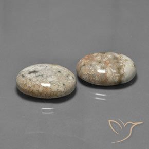Pedras preciosas de Jaspe Multicolorido natural de 27.89 ct, oval, Opaco