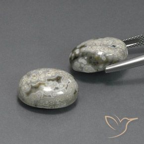 Pedras preciosas de Jaspe Multicolorido natural de 20.10 ct, oval, Opaco