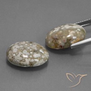 Pedras preciosas de Jaspe Multicolorido natural de 15.34 ct, oval, Opaco