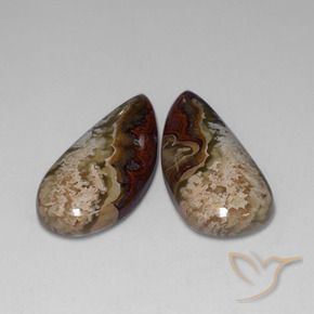 Pedras preciosas de Jaspe Multicolorido natural de 34.78 ct, Chique, Opaco