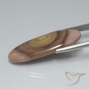 Jaspe Multicolorido Natural 17.33ct, oval, Opaco