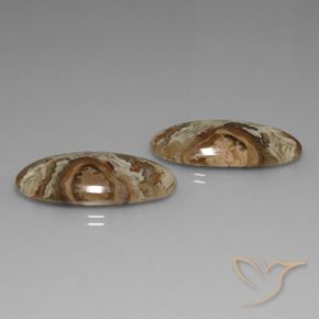 Pedras preciosas de Jaspe Multicolorido natural de 30.99 ct, oval, Opaco