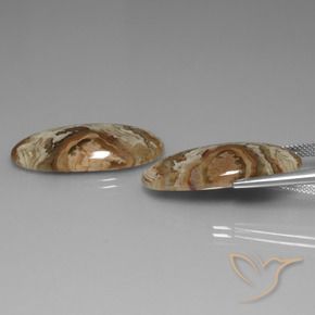 Pedras preciosas de Jaspe Multicolorido natural de 30.99 ct, oval, Opaco