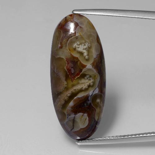 Jaspe multicolorido natural 13,46ct, corte oval, opaco