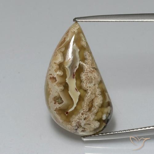 11.24ct Natural Multicolorido Jaspe, Chique, Opaco, Photo A