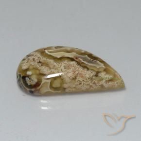 Jaspe Multicolorido Natural 11.24ct, Chique, Opaco