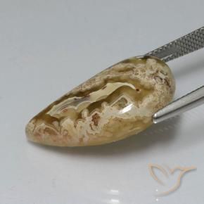 Jaspe Multicolorido Natural 11.24ct, Chique, Opaco