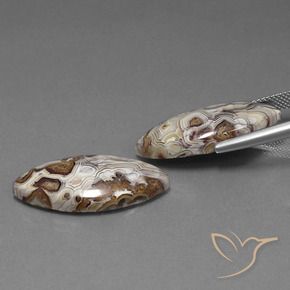 Pedras preciosas de Jaspe Multicolorido natural de 24.92 ct, Marquesa, Opaco