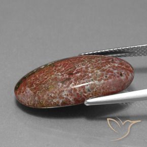 Jaspe Multicolorido Natural 9.98ct, oval, Opaco