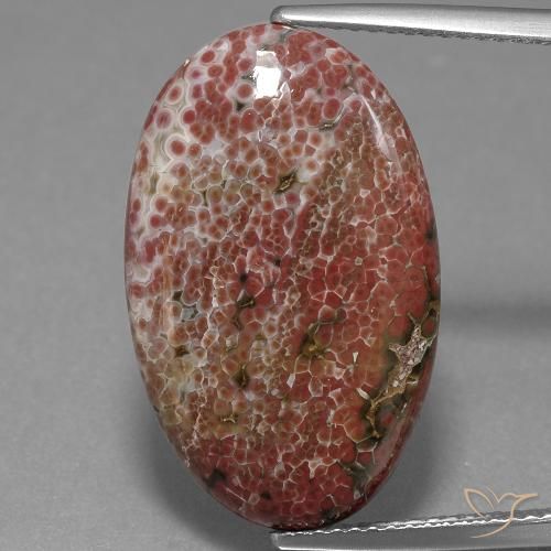 11.71ct Natural Multicolorido Jaspe, oval, Opaco