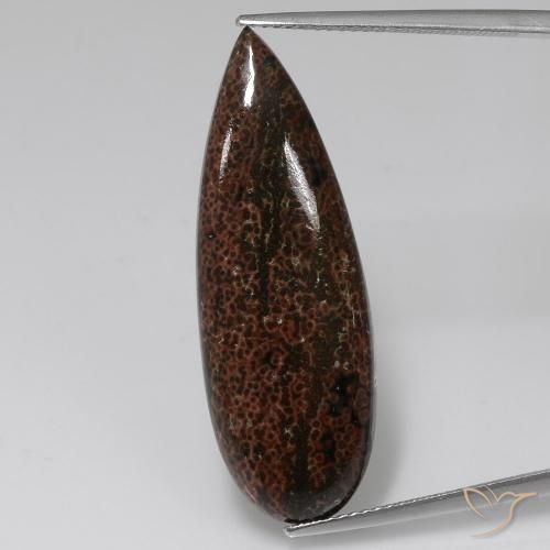 12.43ct Natural Multicolorido Jaspe, Formato de pêra, Opaco