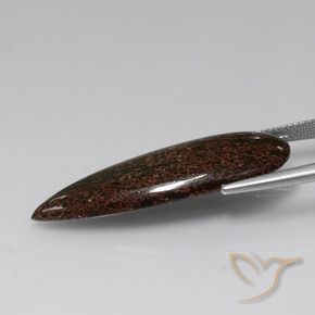 Jaspe Multicolorido Natural 12.43ct, Formato de pêra, Opaco
