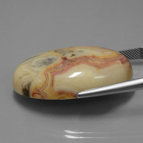 Jaspe multicolorido natural 58,43ct, corte oval, opaco