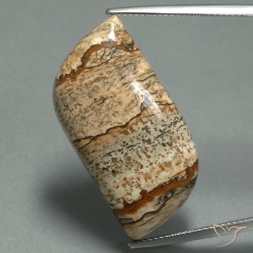 27.45ct Natural Multicolorido Jaspe, Chique, Opaco