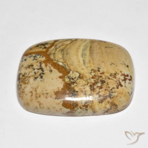 Jaspe Multicolorido Natural 42.91ct, Almofada, Opaco