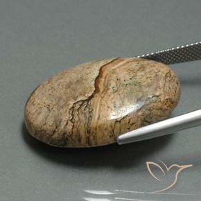 Jaspe Multicolorido Natural 30.17ct, oval, Opaco