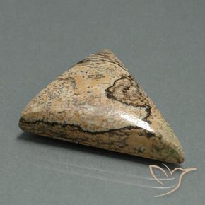 Jaspe Multicolorido Natural 24.08ct, Trilhão, Opaco