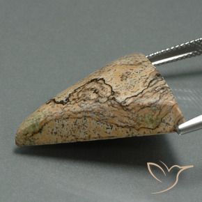 Jaspe Multicolorido Natural 24.08ct, Trilhão, Opaco