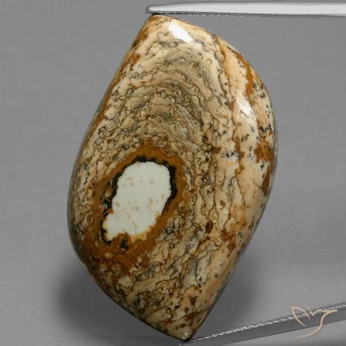 47.70ct Natural Multicolorido Jaspe, Chique, Opaco