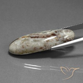 Jaspe Multicolorido Natural 23.27ct, oval, Opaco