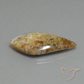 Jaspe Multicolorido Natural 14.89ct, Chique, Opaco