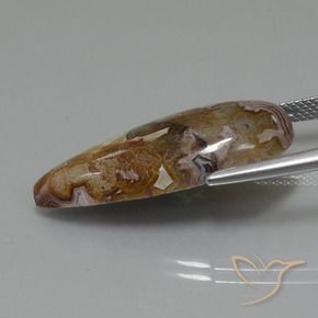 Jaspe Multicolorido Natural 15.06ct, Formato de pêra, Opaco